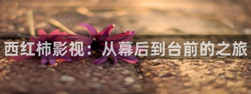 天龙影院手机免费：西红柿影视：从幕后到台前的之旅