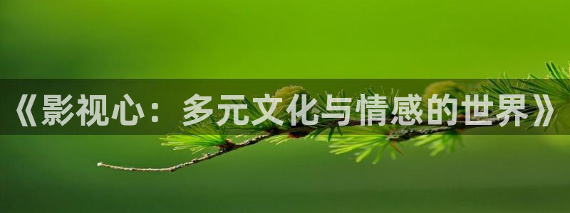 天龙影院电影免费观看：《影视心：多元文化与情感的世界》